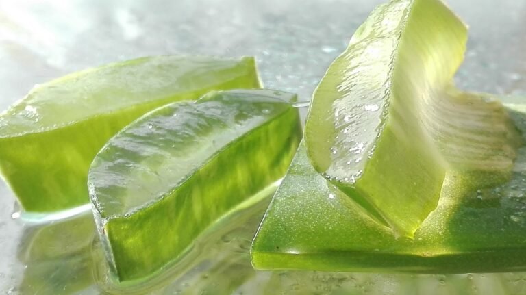 aloe vera oil