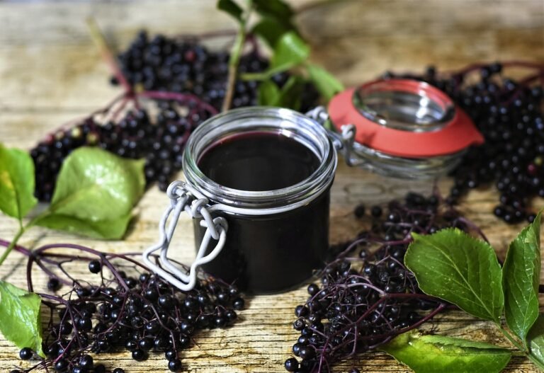 Elderberry Tea – Discover the Surprising Health Benefits of This Ancient Brew!